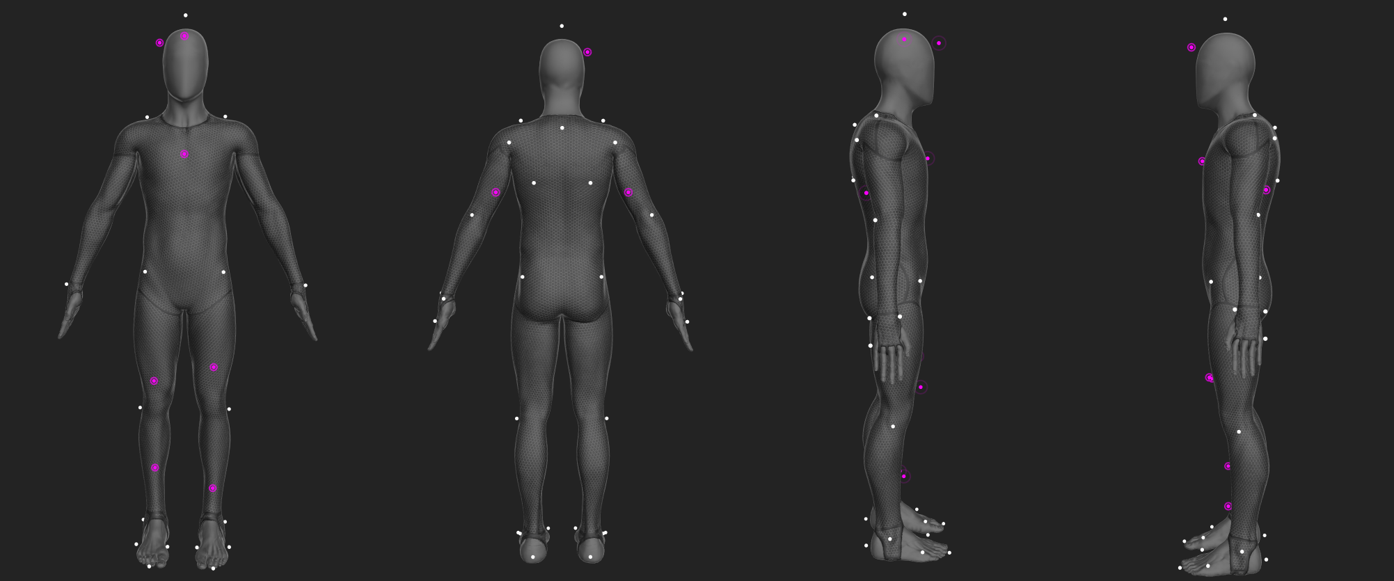  Baseline + Toe (41 Markers)