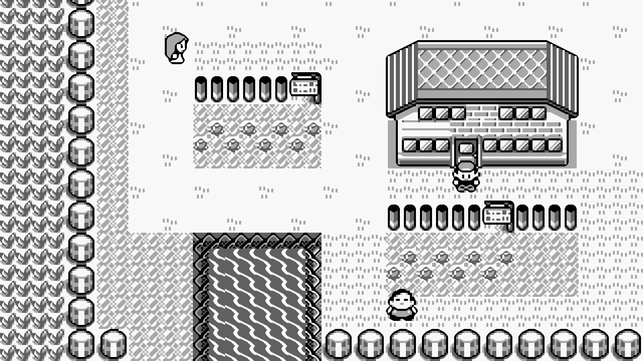 pokemon_red_blue_image_2.jpg