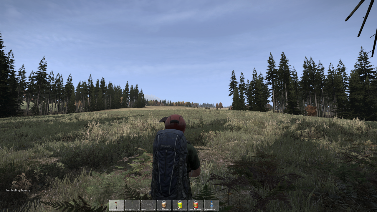 dayz_screenshot4.png