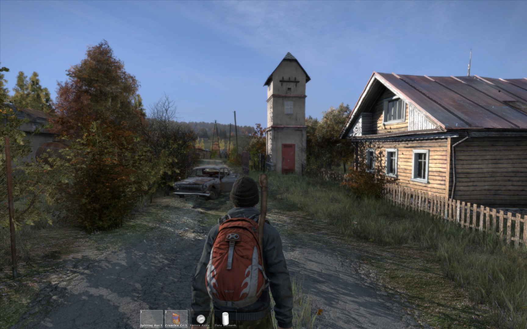 dayz_screenshot1.jpg