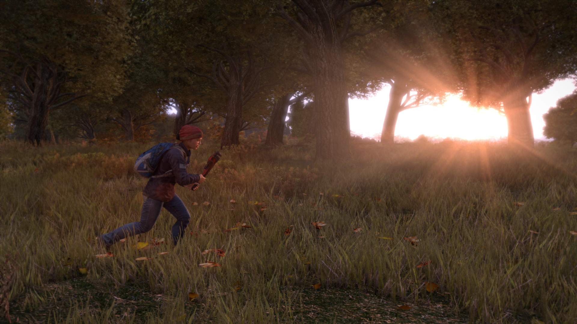 dayz_screenshot3.jpg
