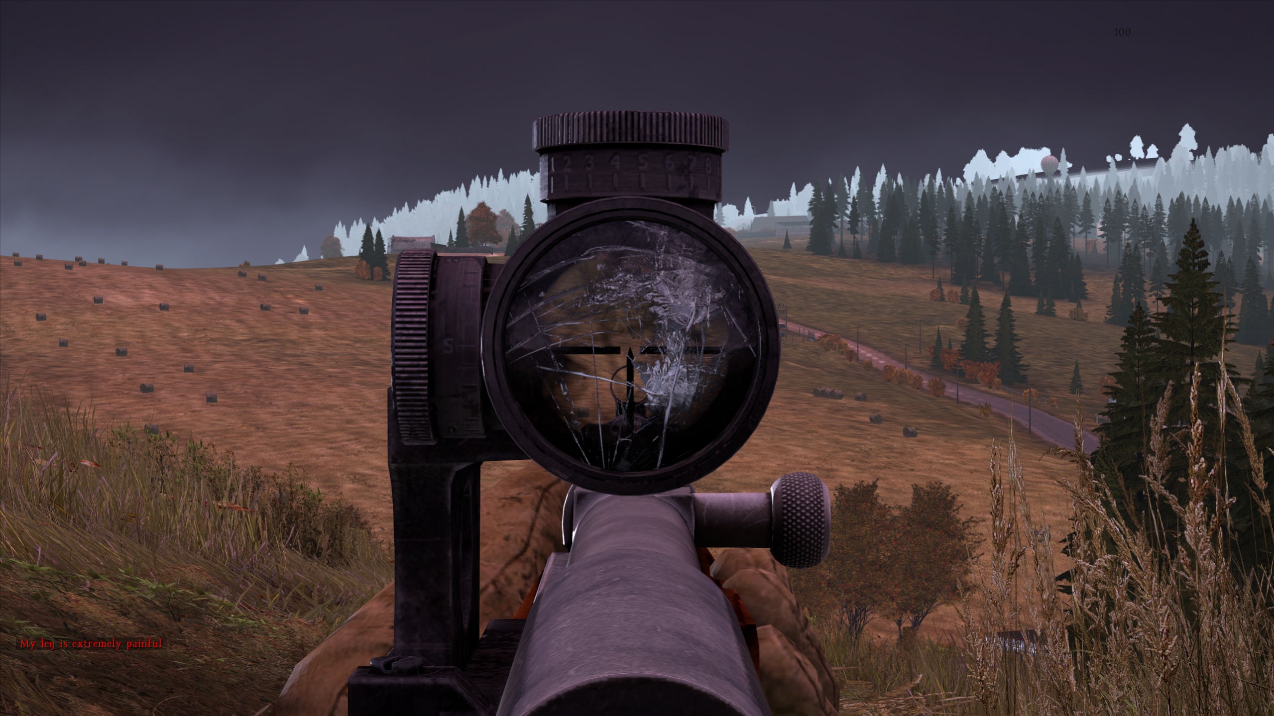 dayz_screenshot2.jpg