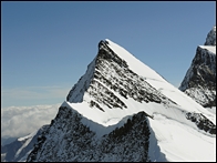 agassizhorn.jpg